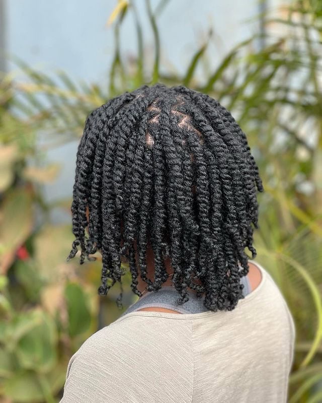 Back view of a person with medium-length two-strand twists, showing the defined, twisted sections.