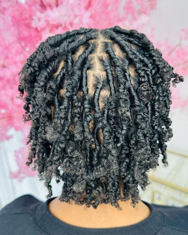 A head with short two-strand twist locs styled neatly, showing well-defined parts.