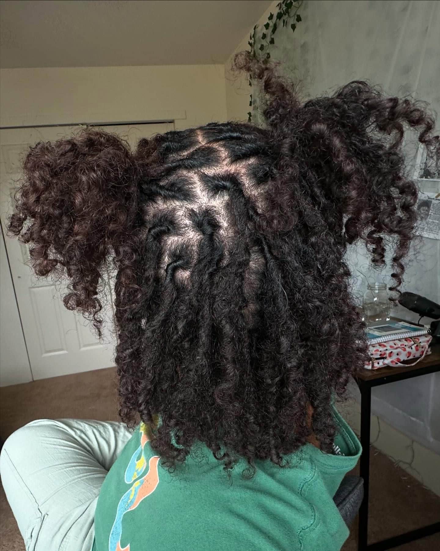 A head with two-strand twist locs styled in high puffy pigtails and the rest left down.