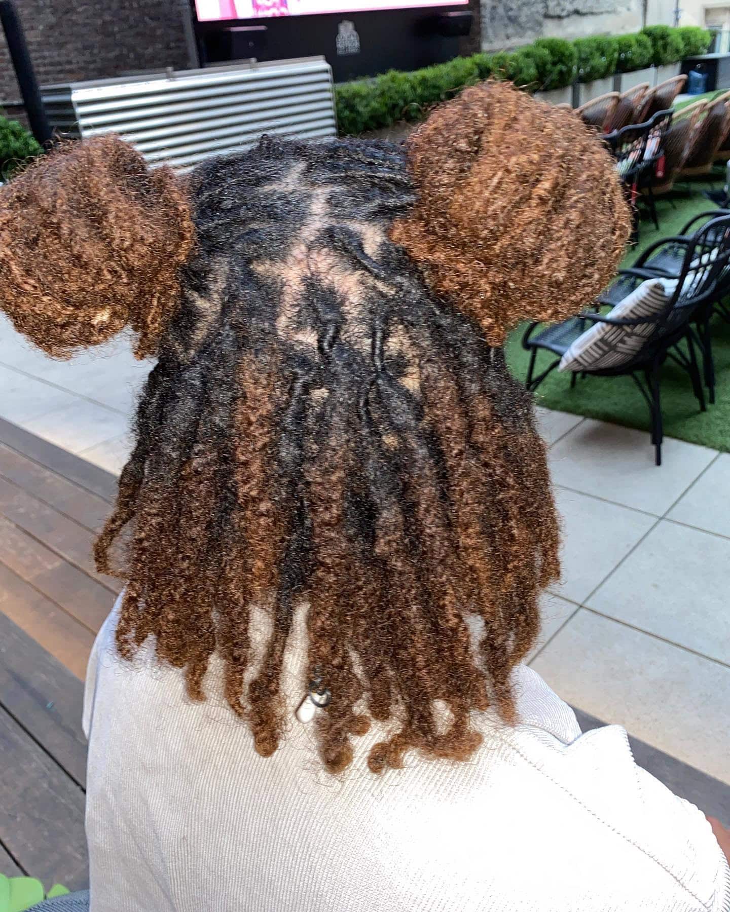 A head with two-strand twist locs styled in two high buns and the rest left down.