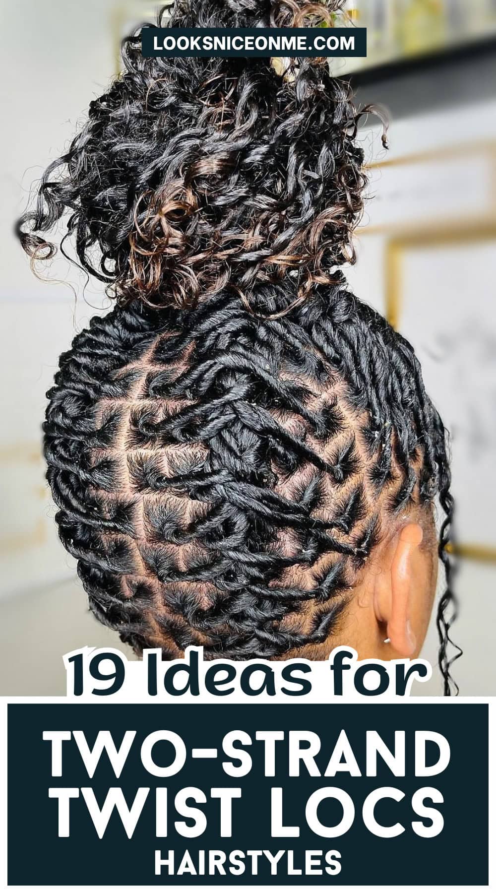 two strand twist locs hairstyles pinterest poster